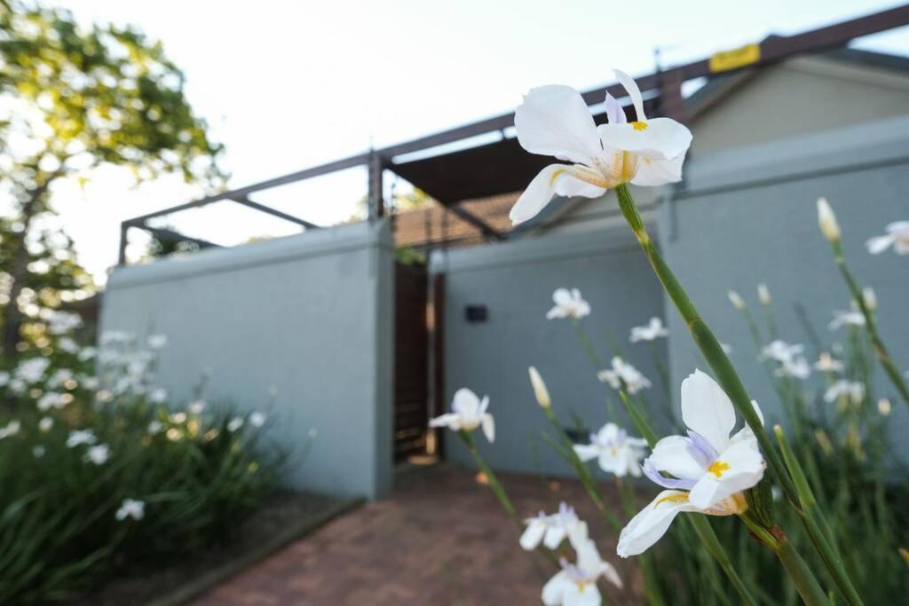 Home In Cape Town-The Homestead Stellenbosch Extérieur photo